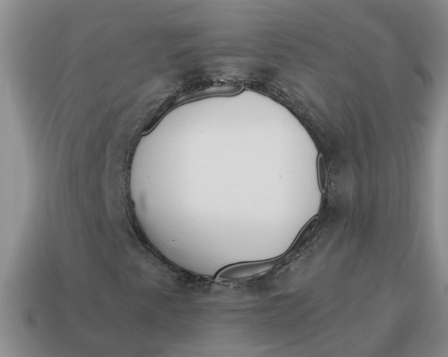 X0000114571345200911091207