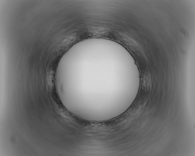 X0000114571346200911091207