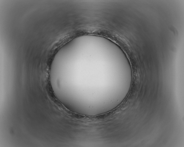 X0000114571349200911091207