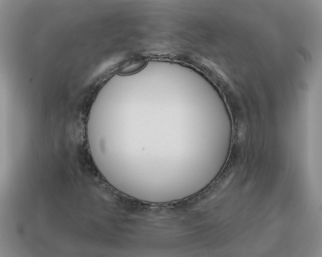 X0000114571350200911091207