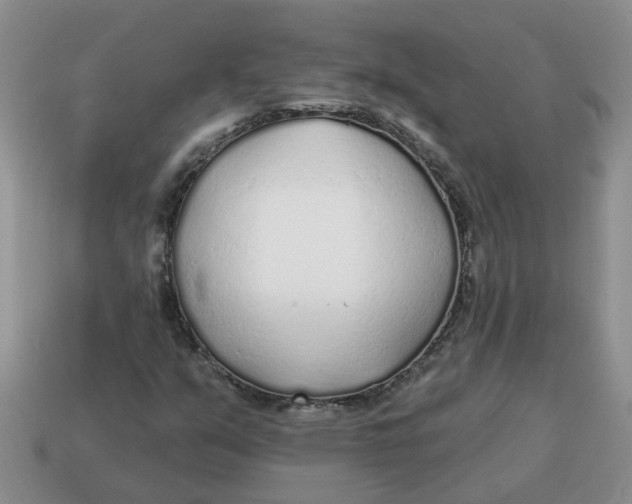 X0000114571351200911091207