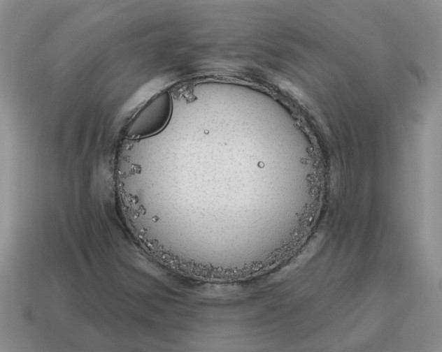 X0000114571354200911091207