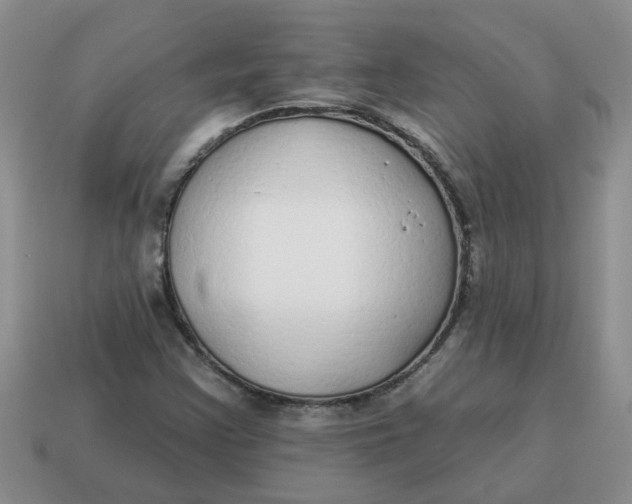 X0000114571355200911091207