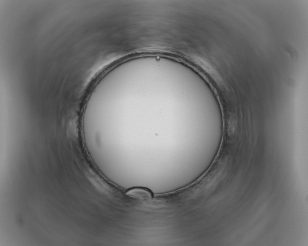 X0000114571356200911091207