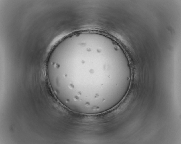 X0000114571358200911091207