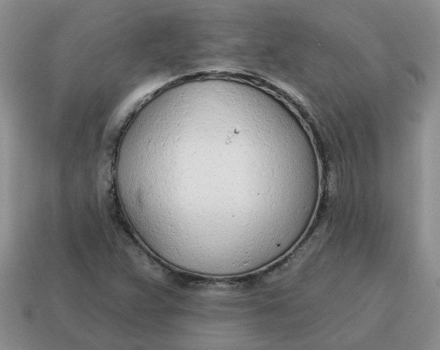 X0000114571359200911091207