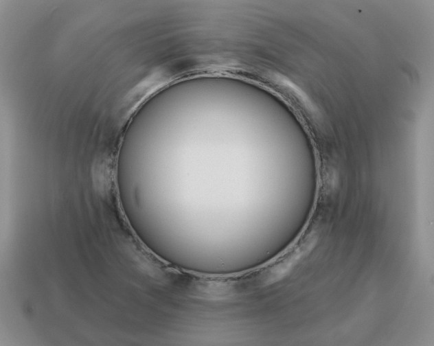 X0000114571361200911091207