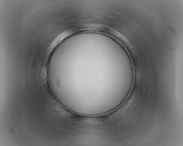 X0000114571362200911091207