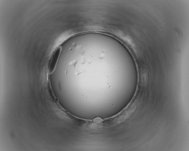 X0000114571365200911091207