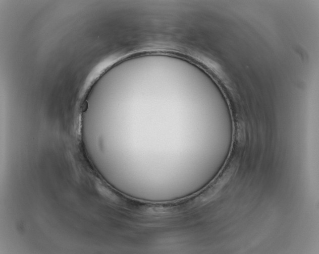 X0000114571366200911091207