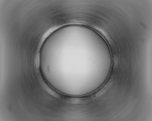 X0000114571371200911091207