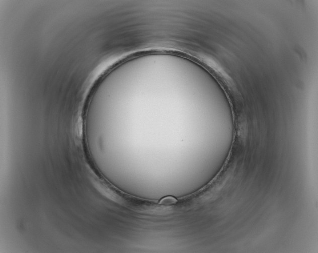 X0000114571372200911091207