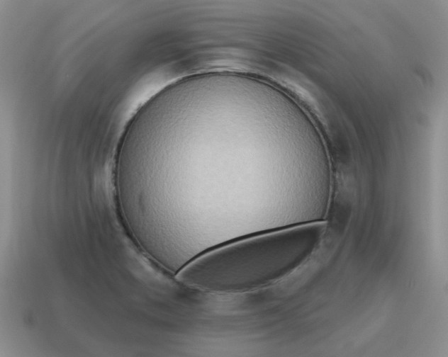 X0000114571373200911091207