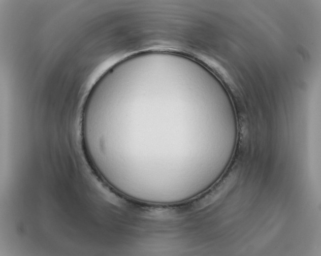 X0000114571375200911091207