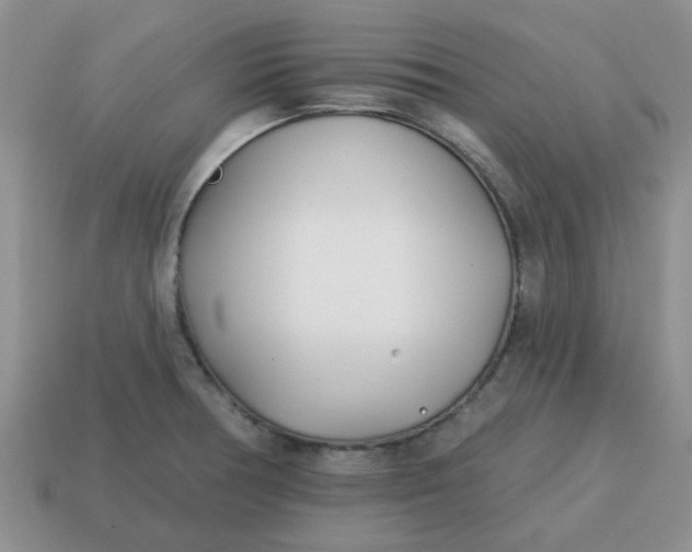 X0000114571378200911091206