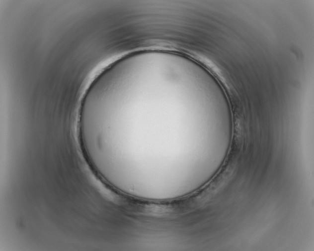 X0000114571379200911091206