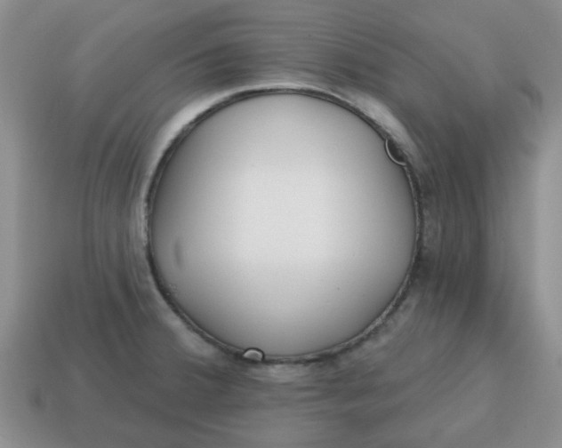 X0000114571380200911091206