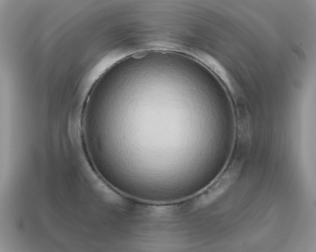 X0000114571381200911091206