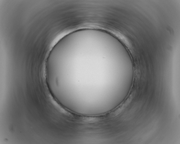 X0000114571382200911091206