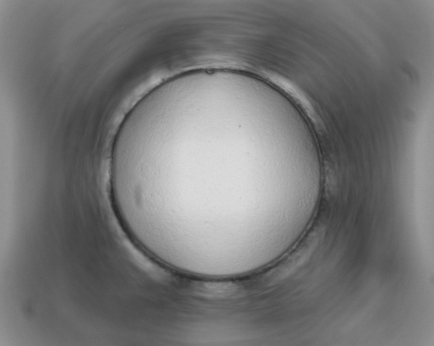 X0000114571383200911091206