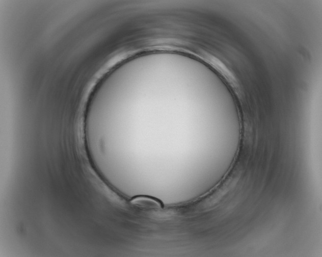 X0000114571384200911091206