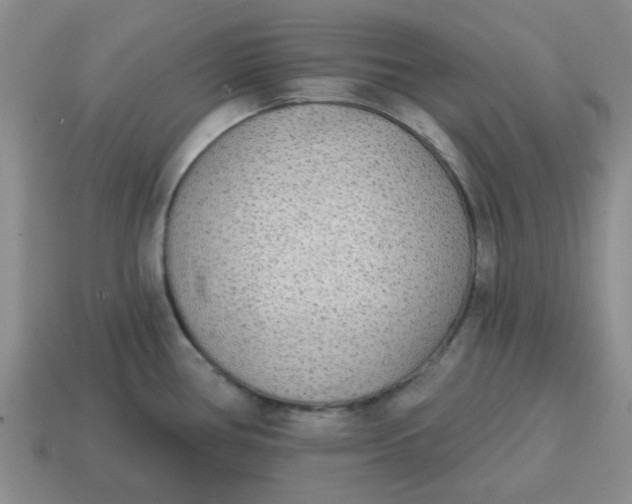 X0000114571386200911091206