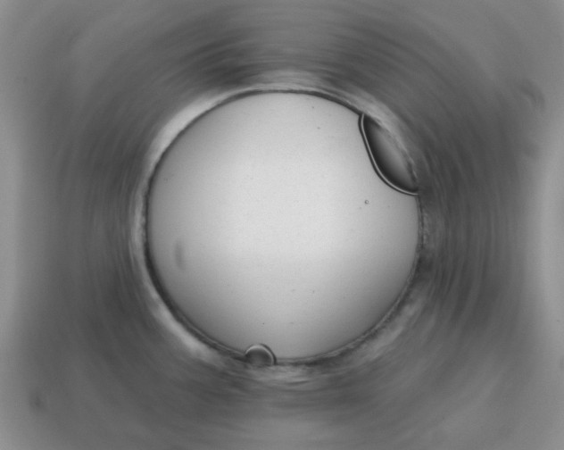 X0000114571387200911091206