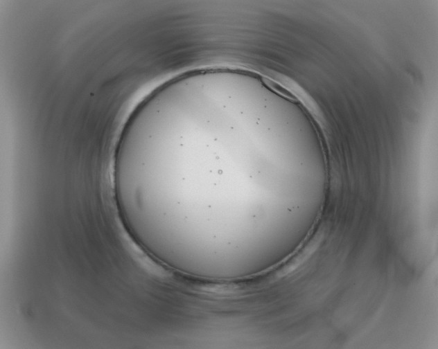 X0000114571388200911091206