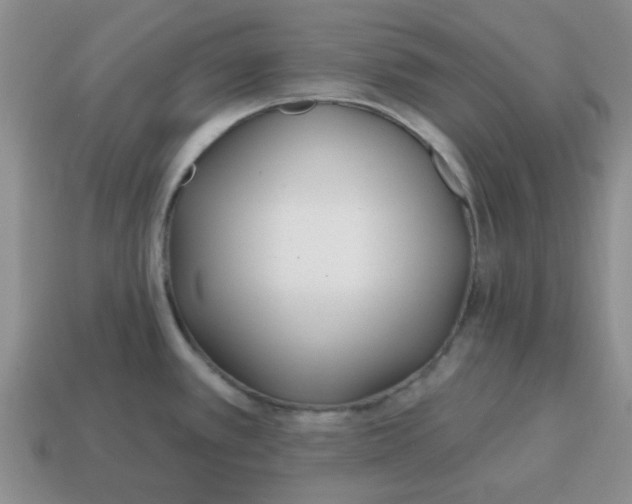 X0000114571389200911091206