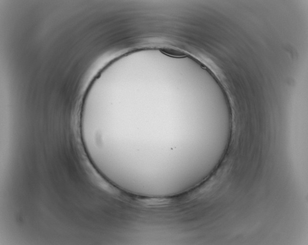 X0000114571392200911091206