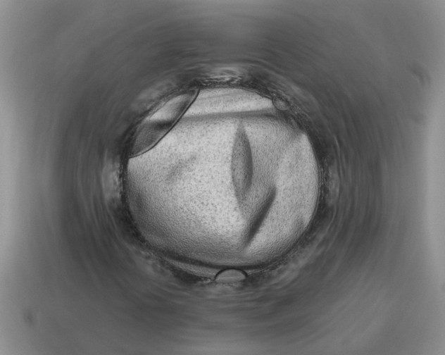 X0000114571394200911091206