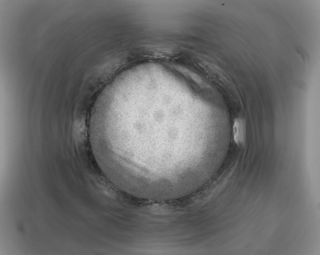 X0000114571395200911091206