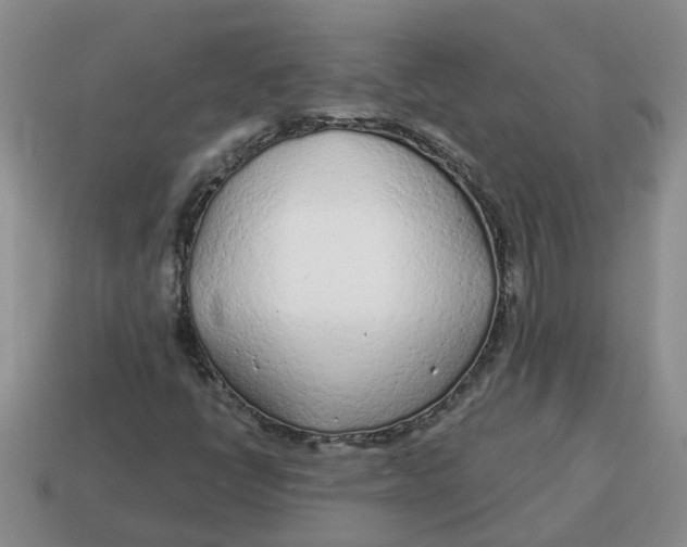 X0000114571398200911091206