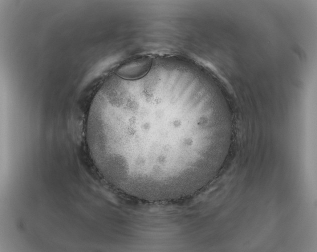 X0000114571399200911091206