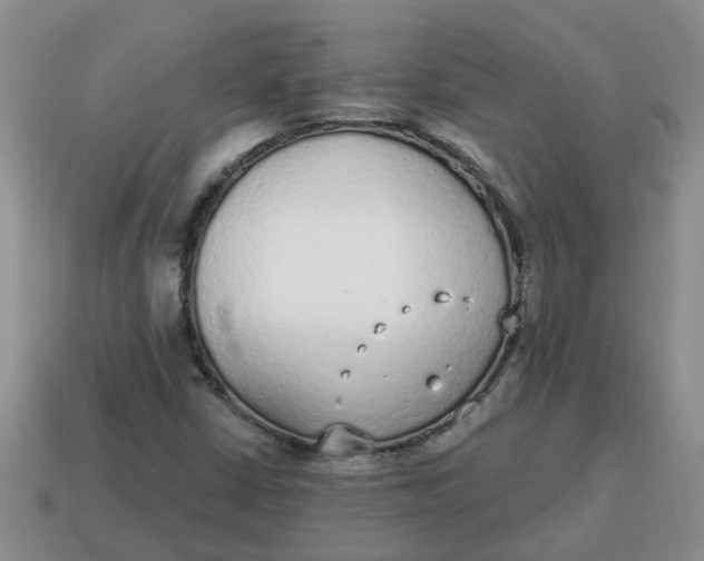 X0000114571402200911091206