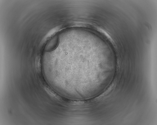 X0000114571403200911091206