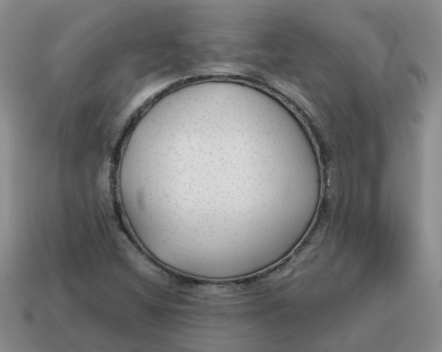 X0000114571404200911091206