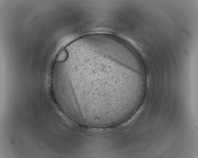 X0000114571405200911091206