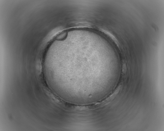 X0000114571407200911091206