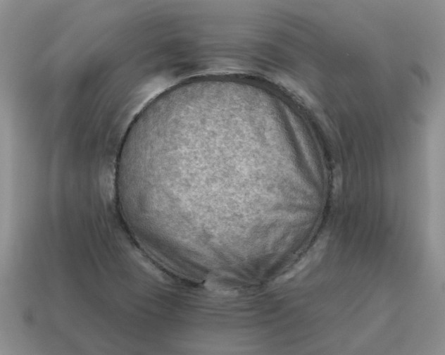 X0000114571409200911091206