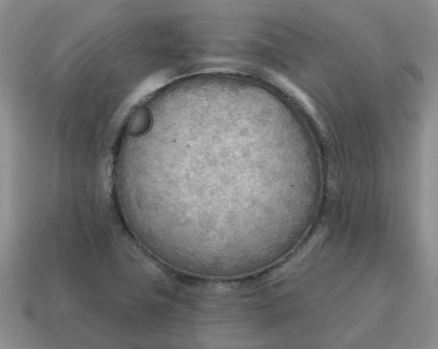 X0000114571411200911091206