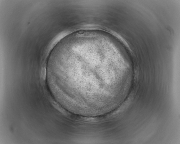 X0000114571413200911091206