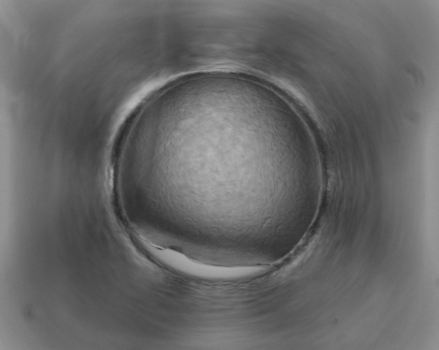 X0000114571414200911091206