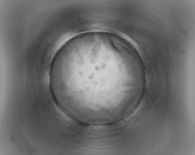 X0000114571415200911091206