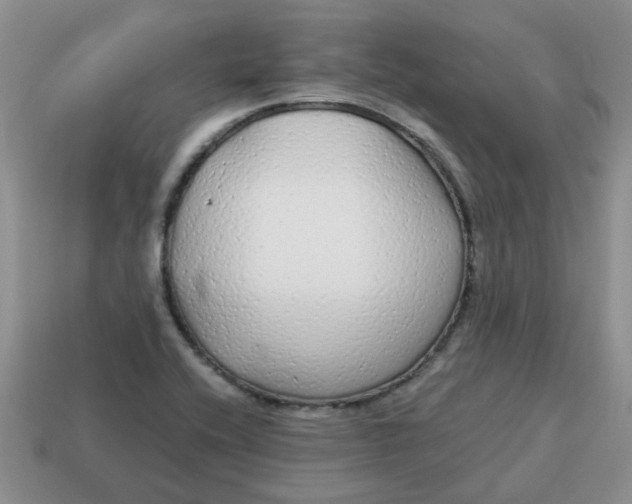 X0000114571416200911091206