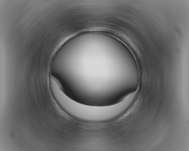 X0000114571417200911091206