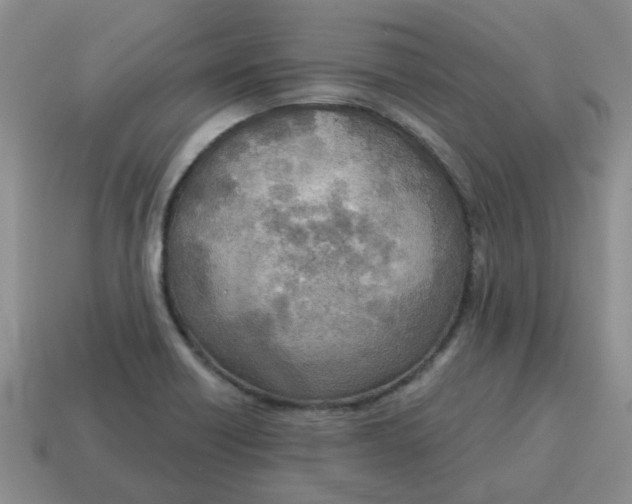 X0000114571418200911091206