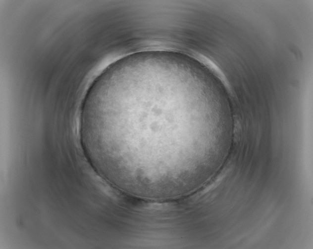 X0000114571419200911091206