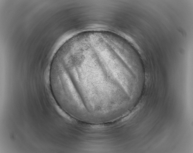 X0000114571421200911091206