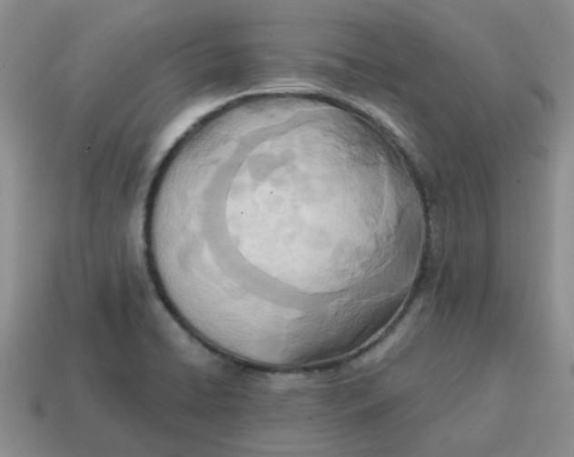 X0000114571422200911091206